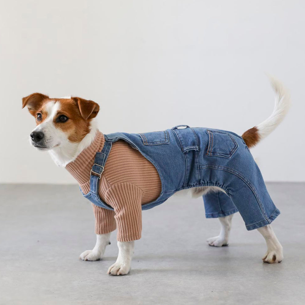 Denim Dogs Jeans Overall