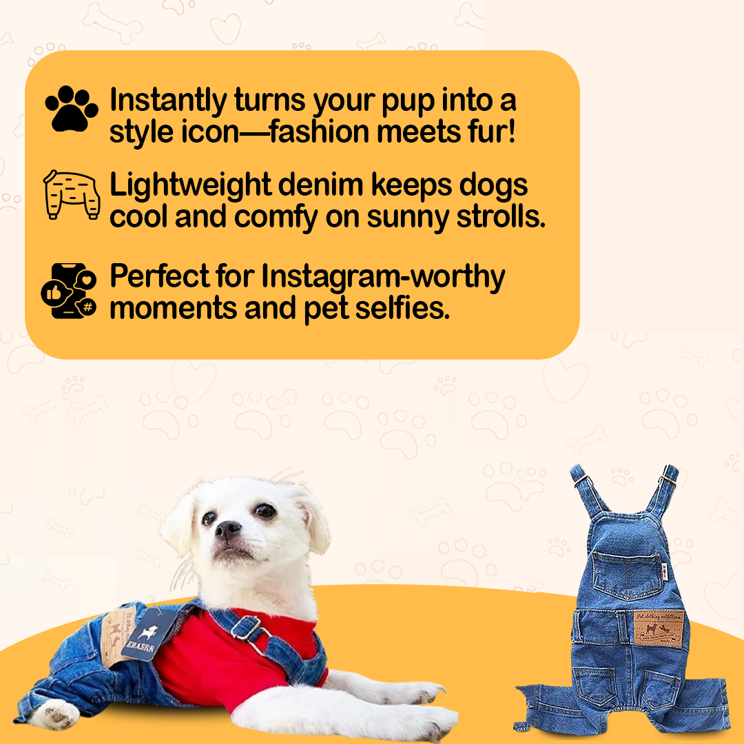 Denim Dogs Jeans Overall