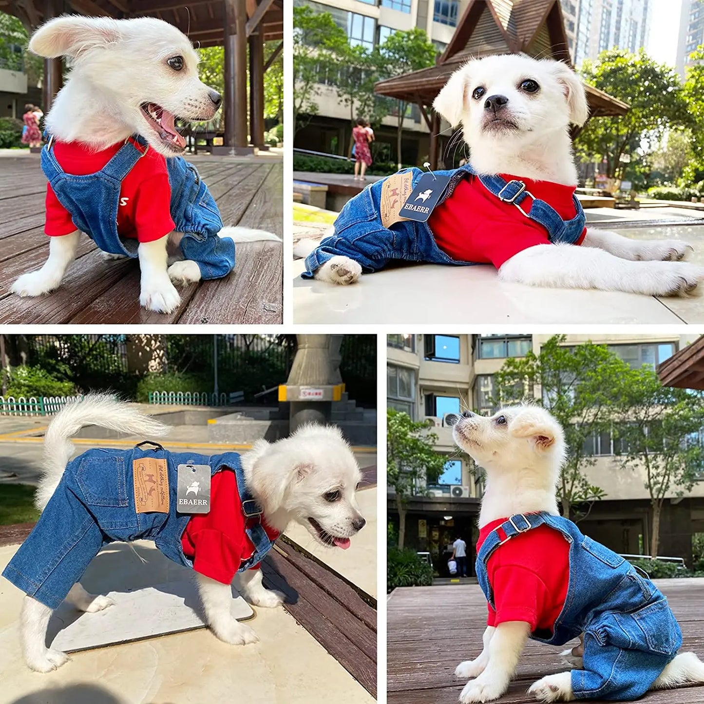 Denim Dogs Jeans Overall