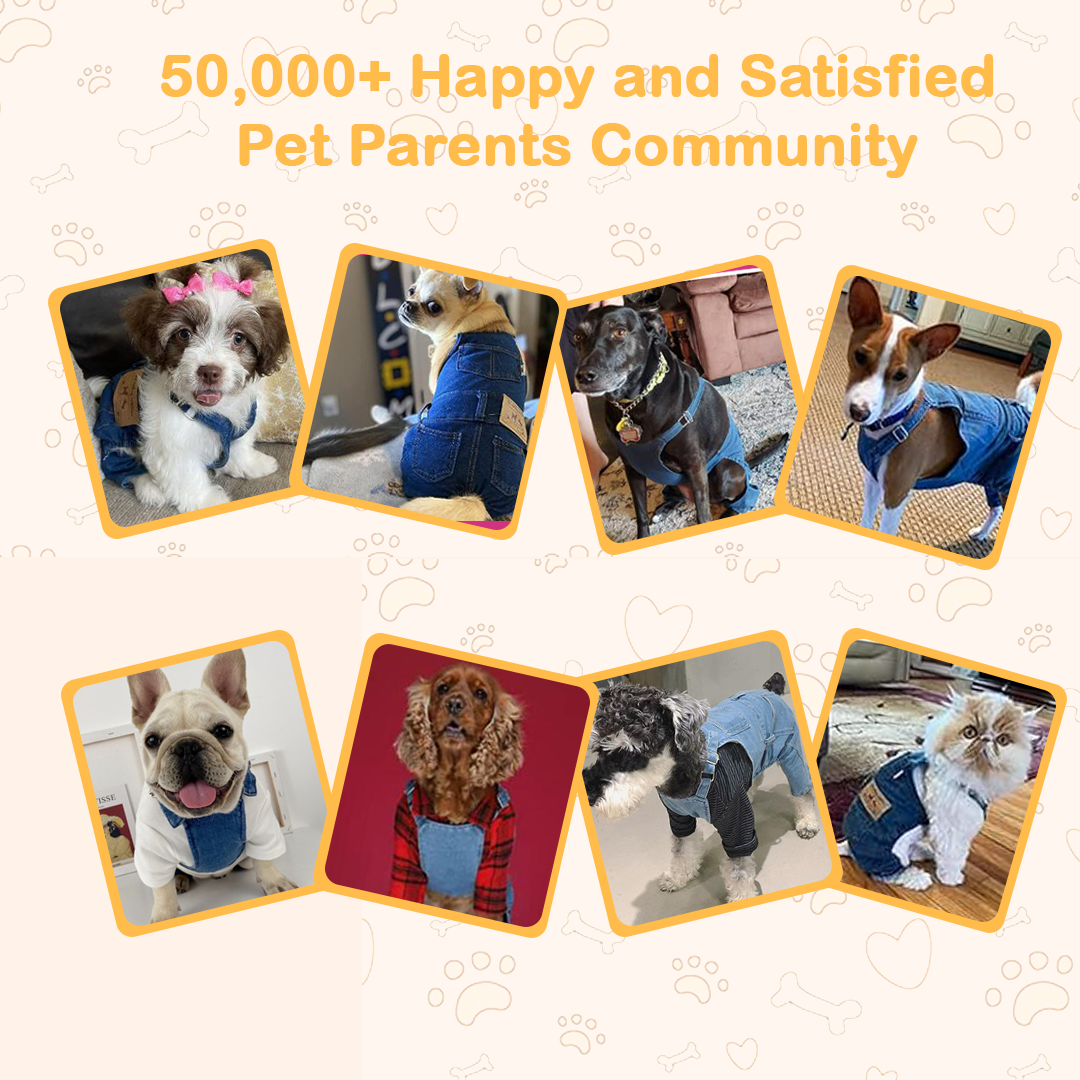 Denim Dogs Jeans Overall
