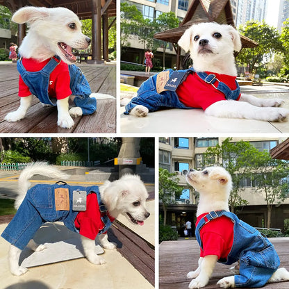 Denim Dogs Jeans Overall